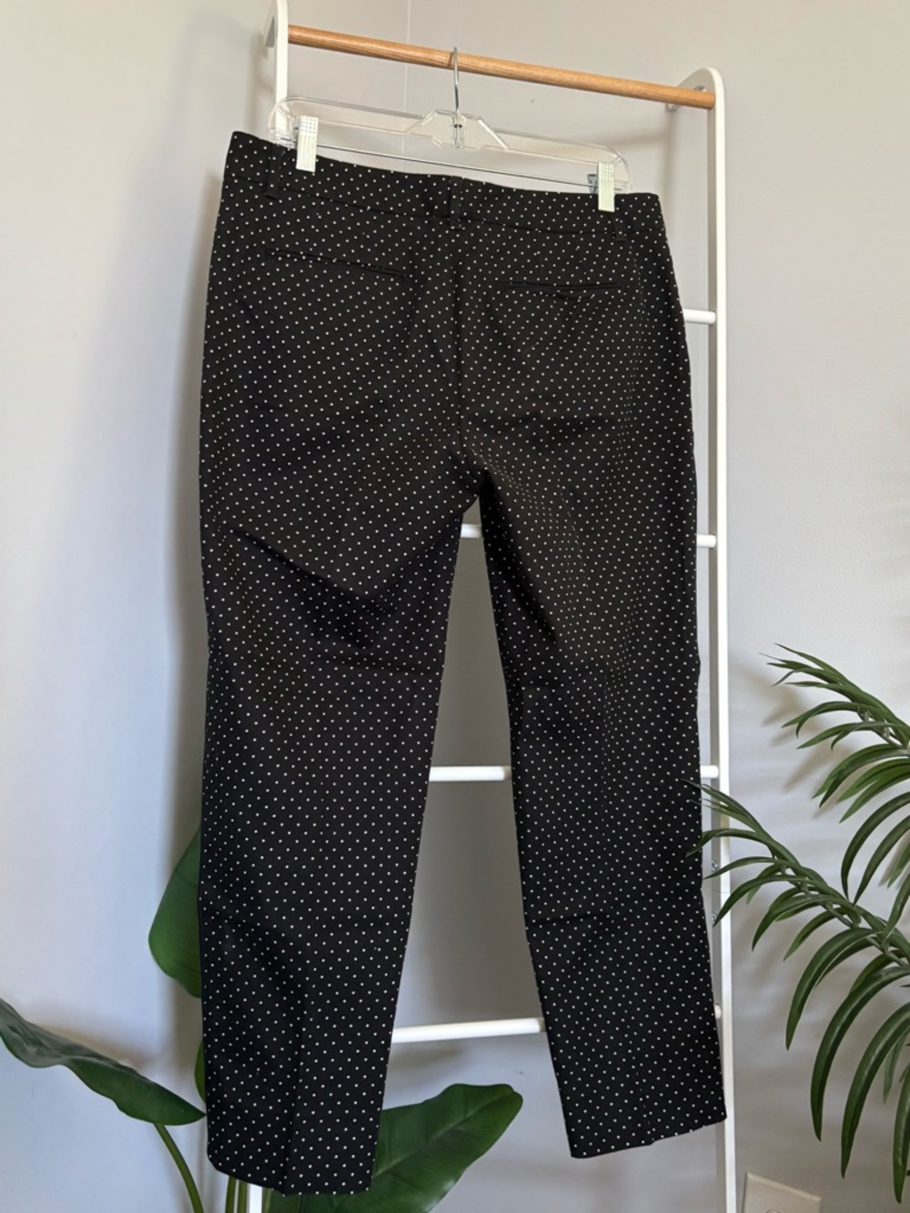 Dolce & Gabbana Black Polka Dot Pants - Picture 9 of 16